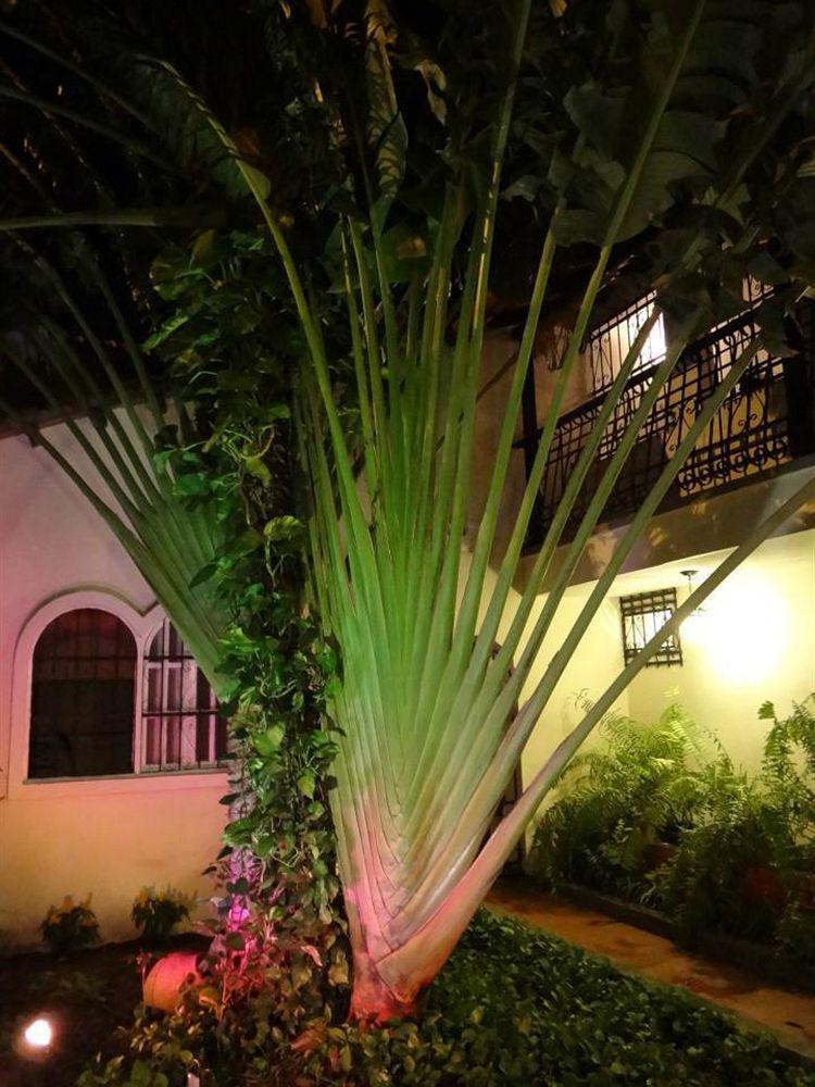 Tiki Hut Santa Marta Hostel Santa Marta (Magdalena)